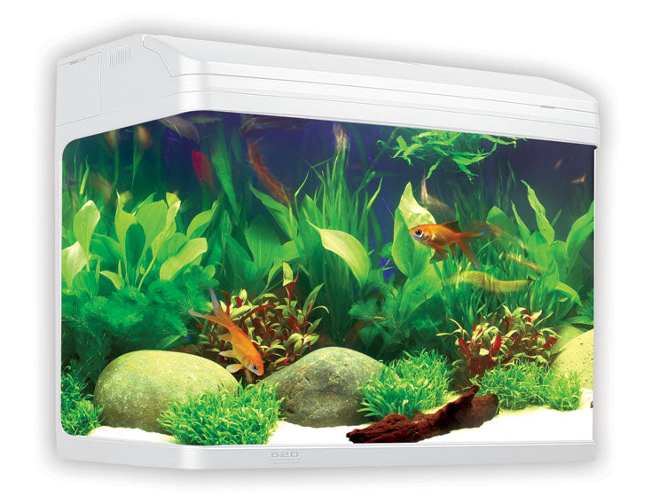 Aqua One AR620 AquaStyle Tank (gloss) 90L