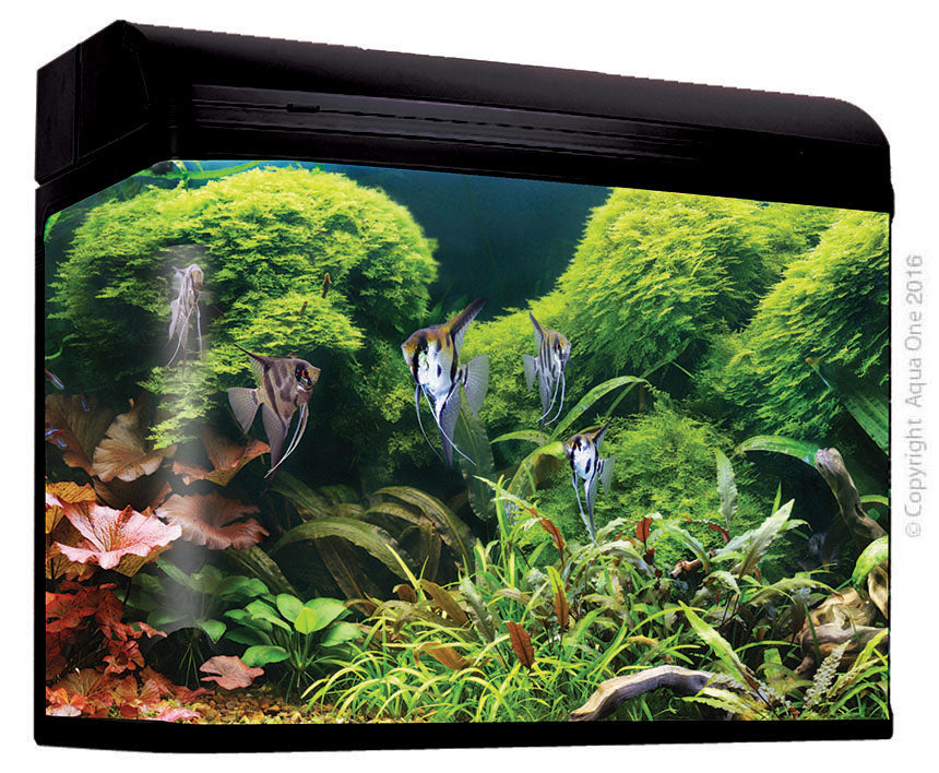 AquaStyle 980T 240L Tall Curved Glass Aquarium Gloss Black