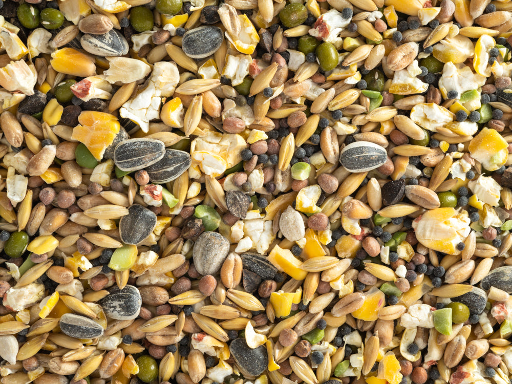 Topflite Soak & Sprout 2kgs