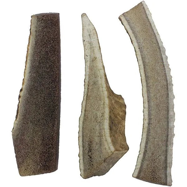 Deer Antler Split Large