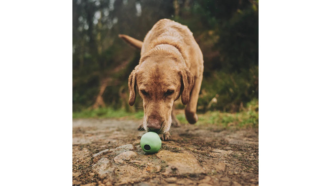 Beco Ball Green Large