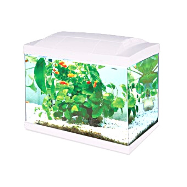 Hailea LED Aquarium 30L