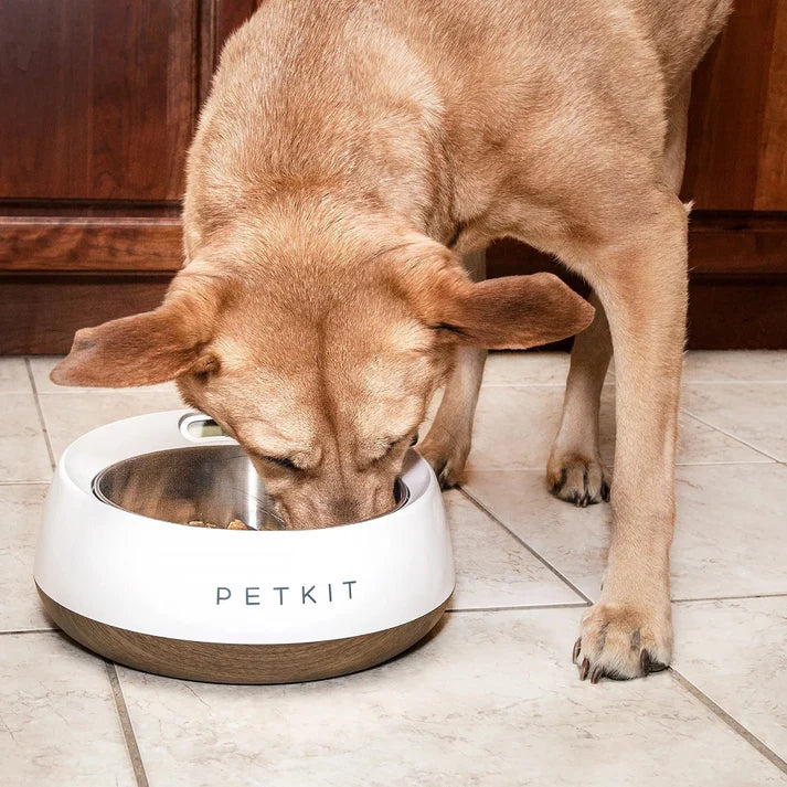 PetKit Fresh Metal Smart Pet Bowl - Wood Texture