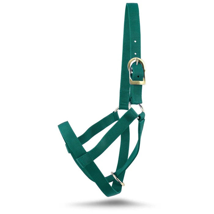 Nylon Calf Leading Halter