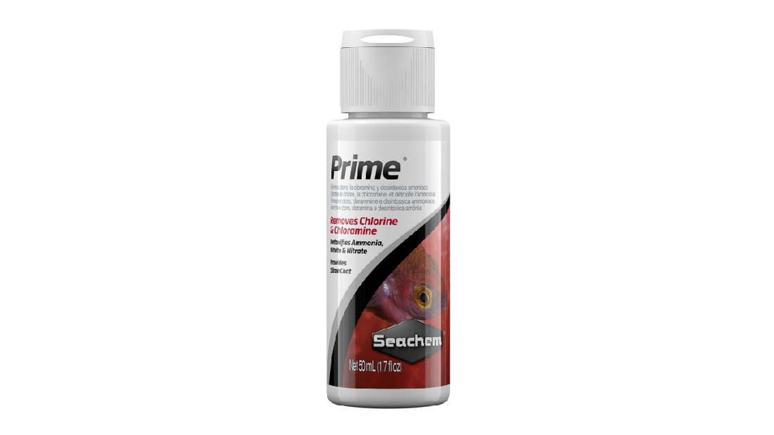 Prime 50 [size:50ml]