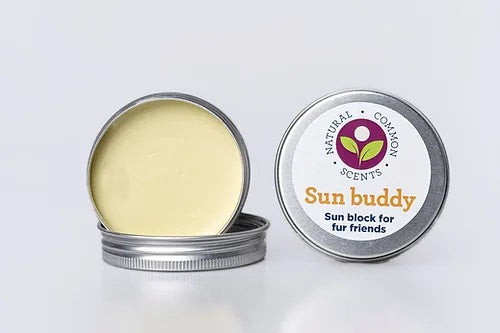 Sun Buddy - Sunblock 40g