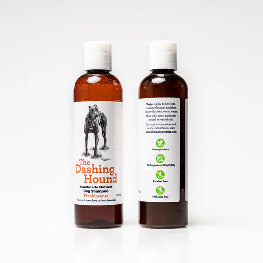 The Dashing Hound 250ml - Frankincense - Natural Dog Shampoo