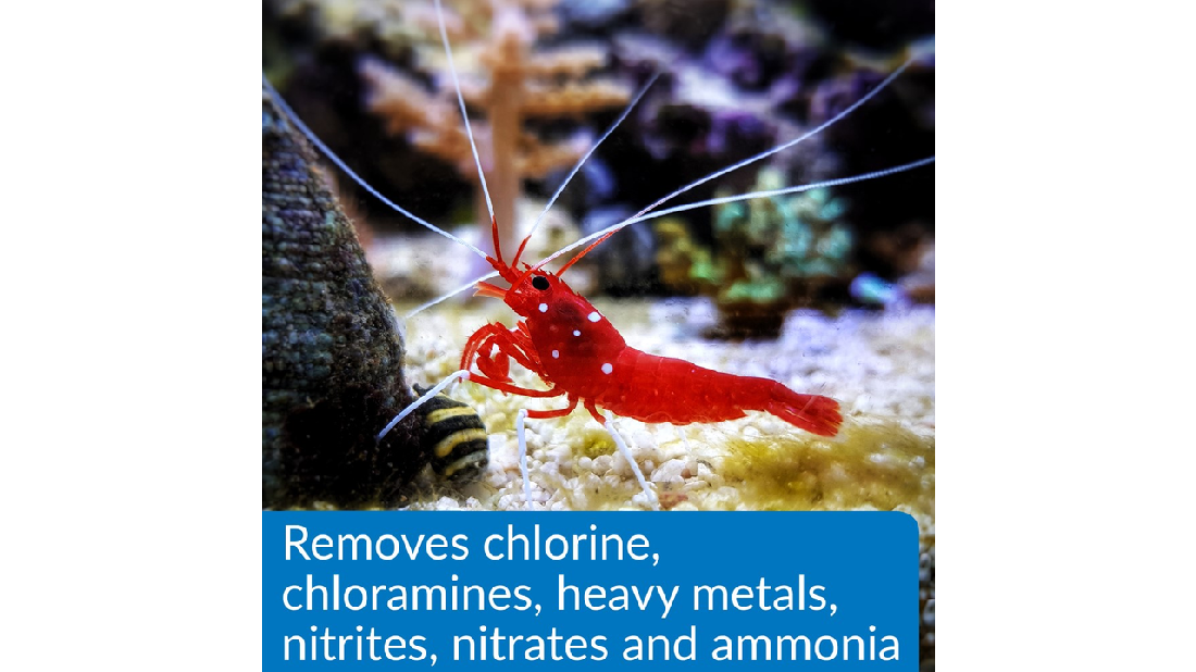 Api Aqua Essential 118ml