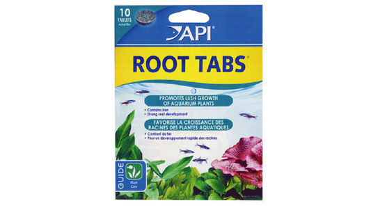 Api Root Tabs - 10 Tab
