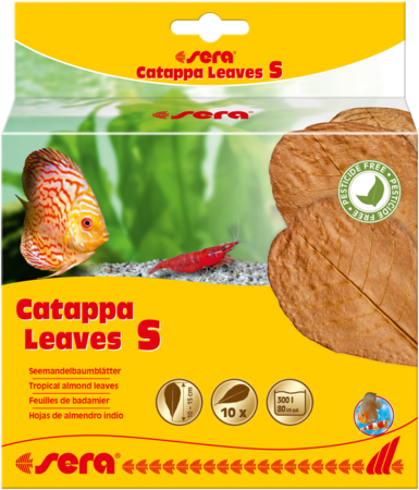 Sera Catappa Leaves S [size:s]