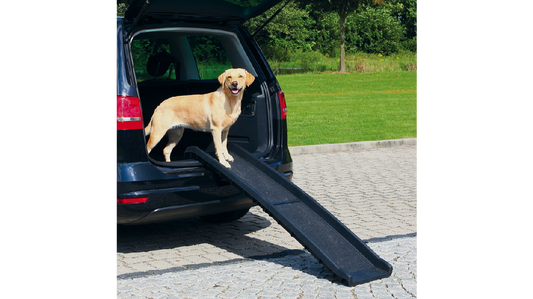 Trixie Petwalk Folding Ramp