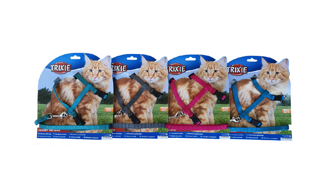 Cat Harness & Lead - Big Cat