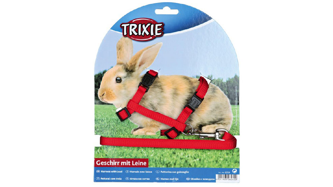 Rabbit Harness