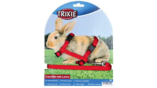 Rabbit Harness