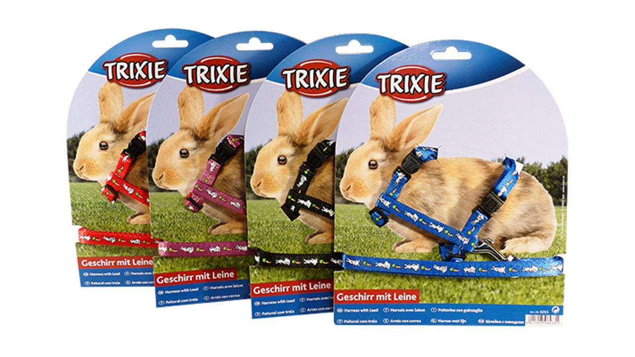 Rabbit Harness With Motif