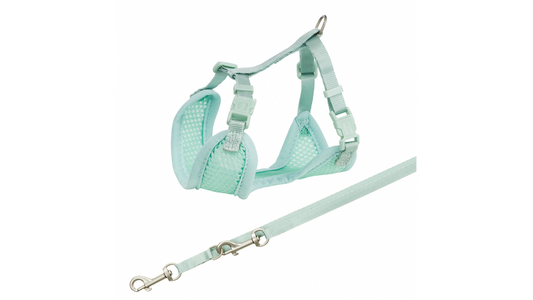 Junior Puppy Soft Harness With Leash Mint [colour:mint]