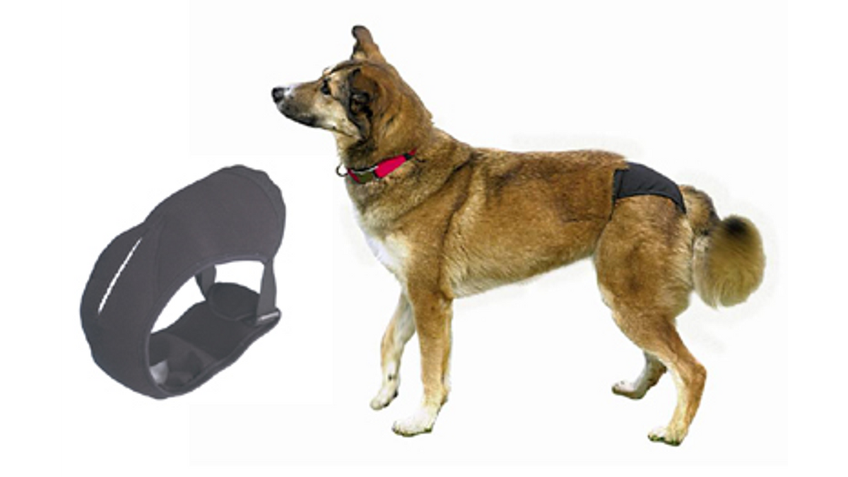 Protective Dog Pants S-m [size:s-m]