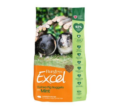 Burgess Excel Adult Guinea Pig Nuggets With Mint 2kg [size:2kg]
