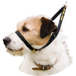 Canny Collar 1 [size:1]