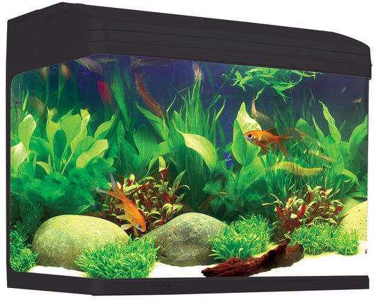 Aqua One AR620 AquaStyle Tank (gloss) 90L