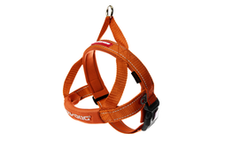 Ed Harness Qf Orange S [size:s  Colour:orange]