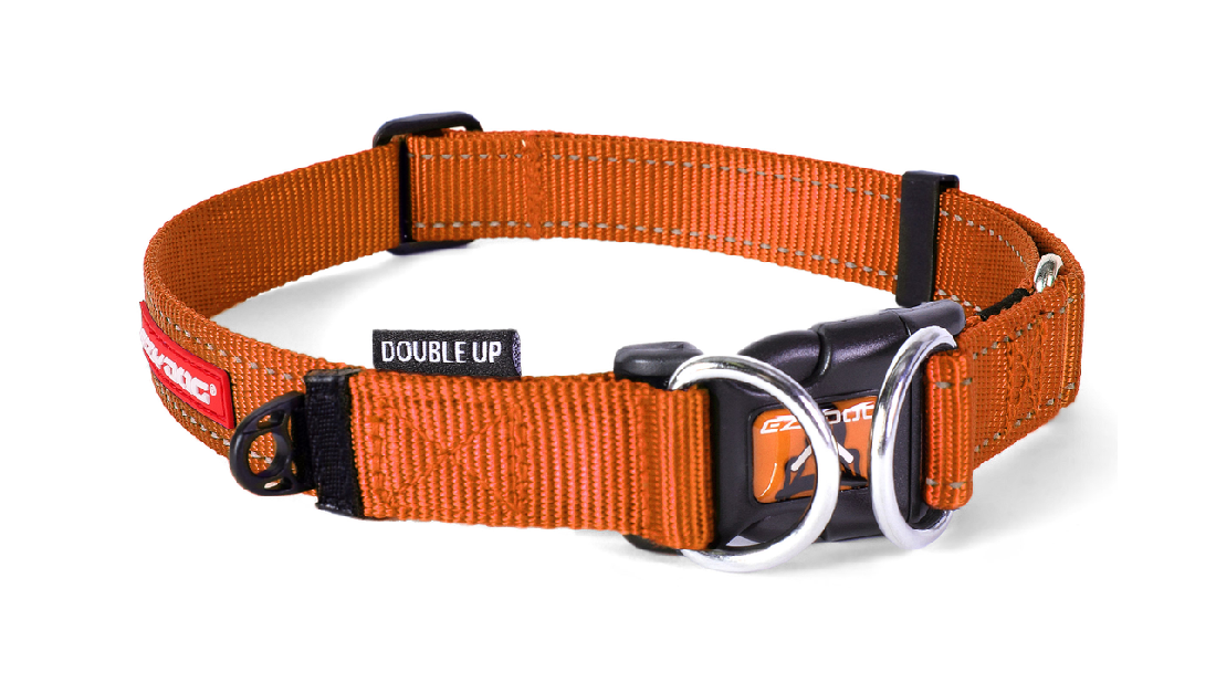 Ed Collar Double Up Orange L [size:l  Colour:orange]
