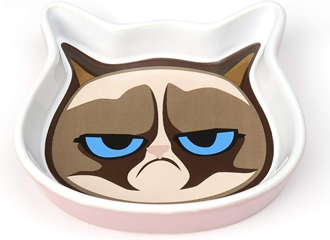 Grumpy Cat Saucer in Pink