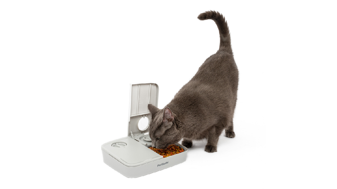 Pet Safe Automatic 2 Meal Feeder