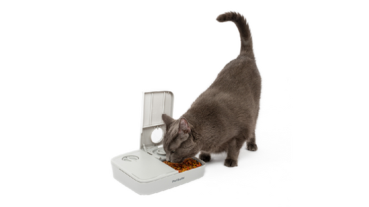 Pet Safe Automatic 2 Meal Feeder