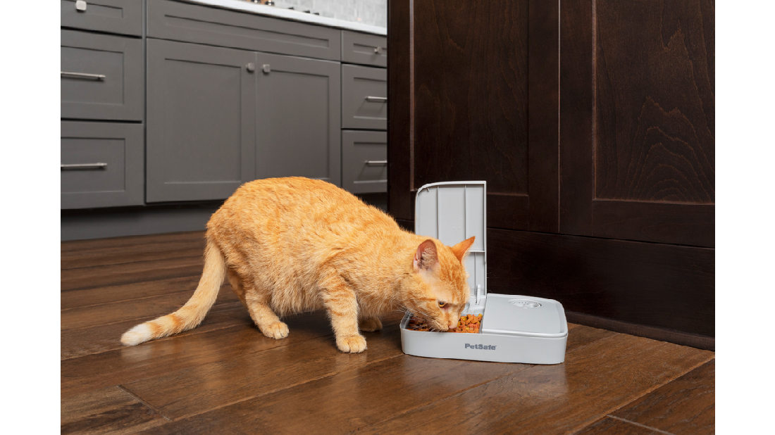 Pet Safe Automatic 2 Meal Feeder