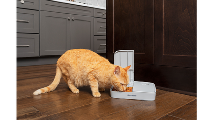 Pet Safe Automatic 2 Meal Feeder