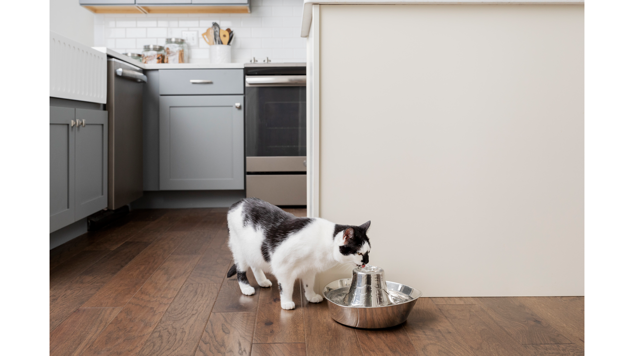 Seaside Stainless Steel Pet Fountain 1.8l