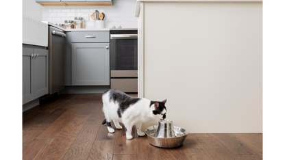 Seaside Stainless Steel Pet Fountain 1.8l