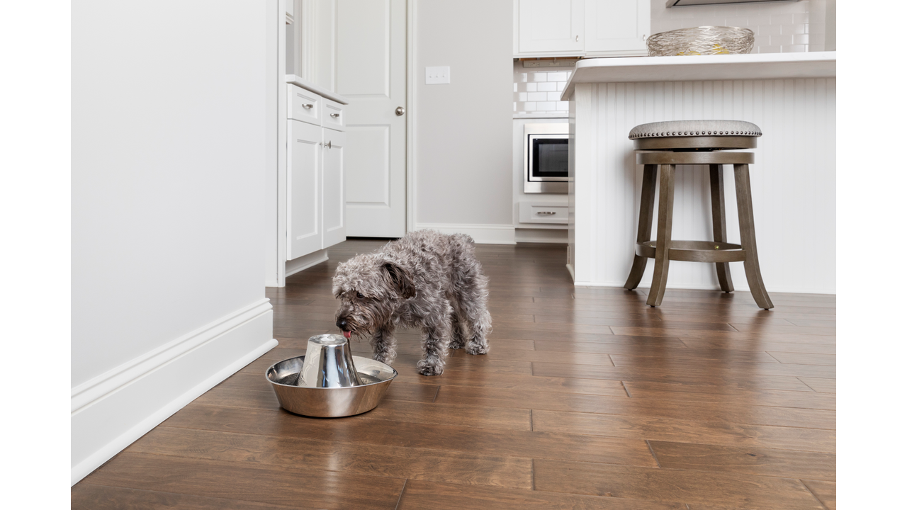 Seaside Stainless Steel Pet Fountain 1.8l