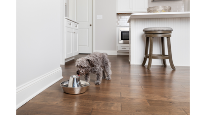 Seaside Stainless Steel Pet Fountain 1.8l