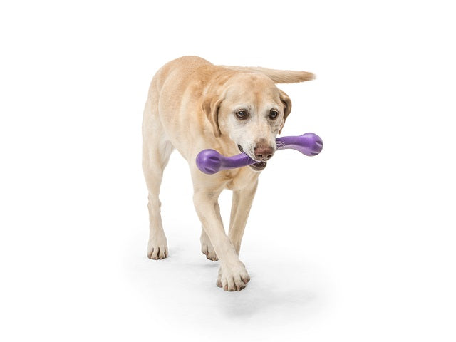 Zogoflex Zwig Eggplant [colour:eggplant]