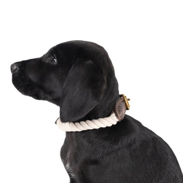 Mog & Bone Rope Collar Genuine Leather & Brass Natural L Brass Natural [size:l  Colour:natural]