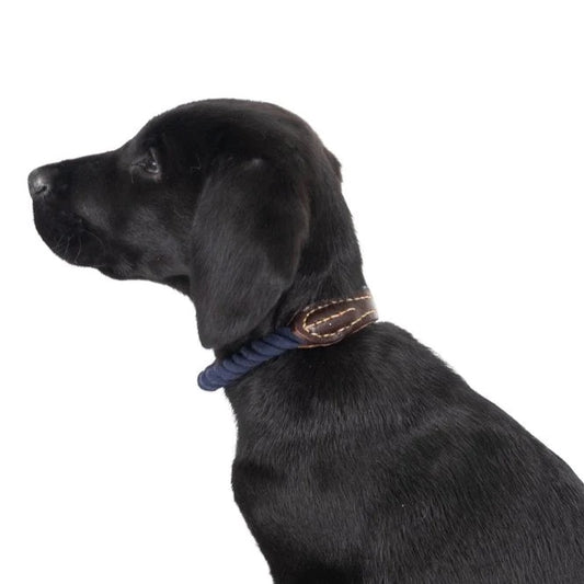 Mog & Bone Rope Collar Genuine Leather & Brass Natural L Brass Navy [size:l  Colour:navy]
