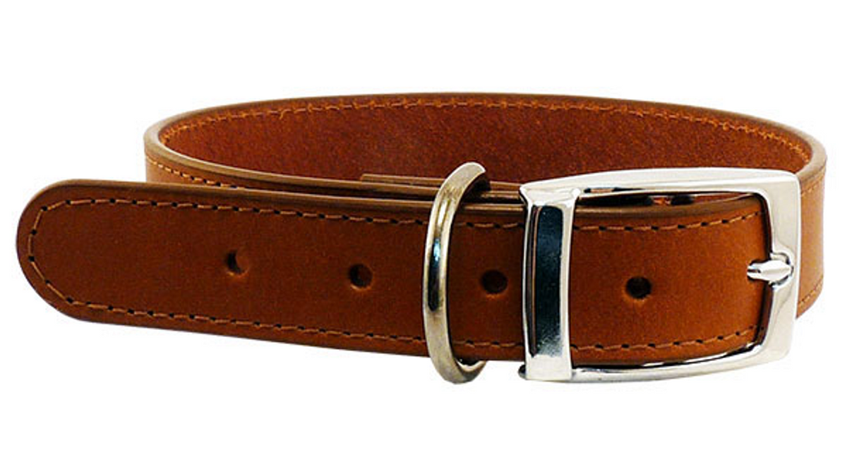 Leather Stitched Collar 25mm 55cm [colour:cognac Size:25mm  Length:55cm]