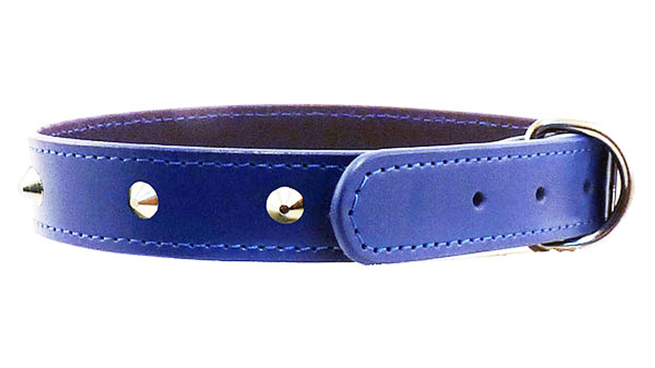 Stitched Studded Collar 18mm Blue [colour:blue Size:18mm Length:45cm]