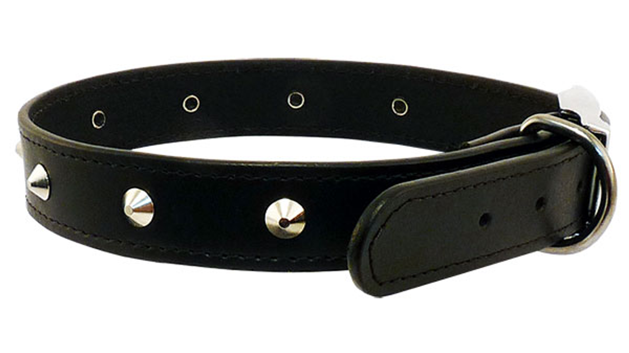 Stitched Studded Collar 32mm Black 60cm [colour:black Size:32mm Length:60cm]