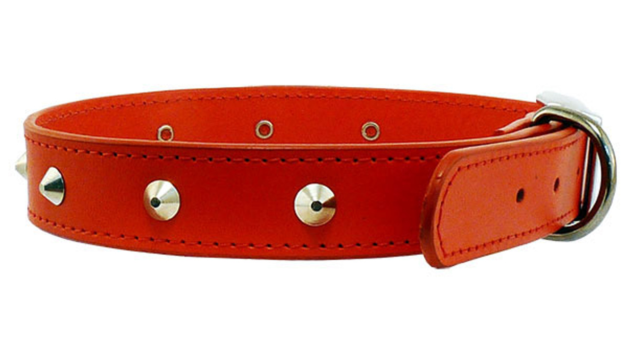 Stitched Studded Collar 18mm Red [colour:red Size:18mm Length:45cm]
