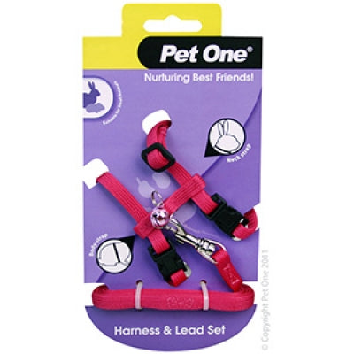 Pet One Leash & Harness - Rabbit Pink