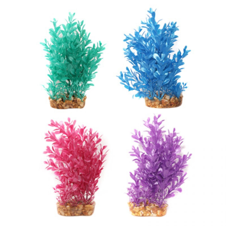 Aqua One Plant Ludwigia 20cm Green