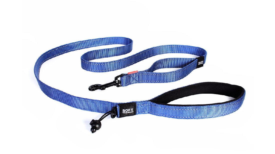 Ed Leash Soft Trainer 25mm Blue [colour:blue]