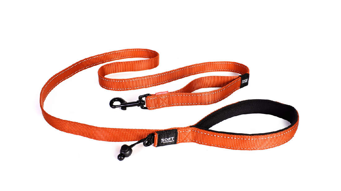 Ed Leash Soft Trainer 25mm Orange [colour:orange]