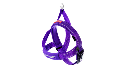 Ed Harness Qf Purple Xl [size:xl Colour:purple]