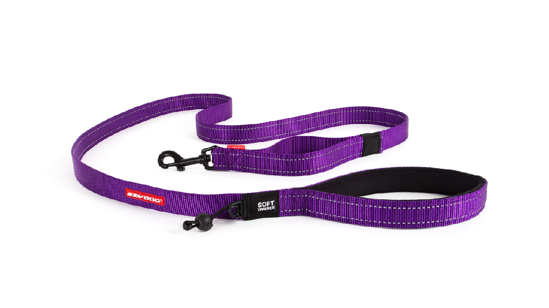 Ed Leash Soft Trainer 25mm Purple [colour:purple]
