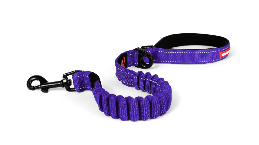 Ed Leash Zero Shock Purple 60cm [size:60cm Colour:purple]