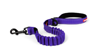 Ed Leash Zero Shock Purple 60cm [size:60cm Colour:purple]